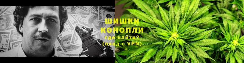 Конопля White Widow  наркотики  Нарткала 